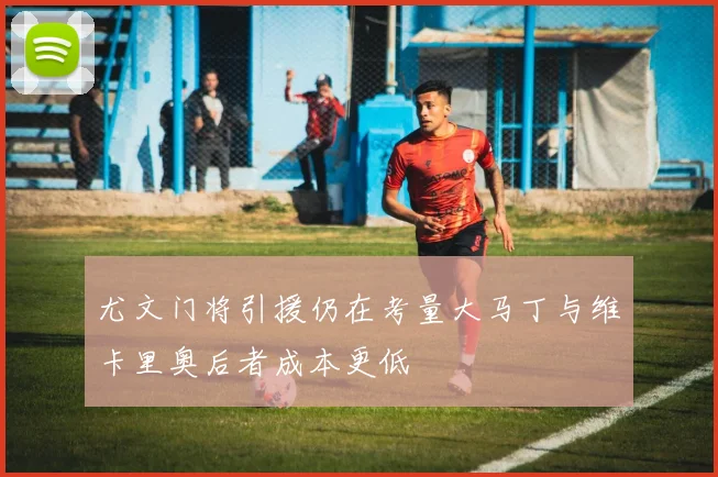尤文门将引援仍在考量大马丁与维卡里奥后者成本更低