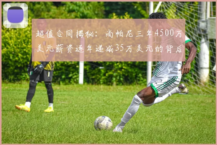 超值合同揭秘：尚帕尼三年4500万美元薪资逐年递减35万美元的背后故事