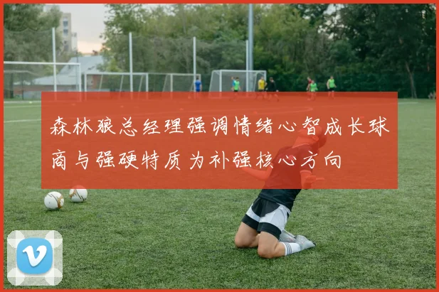 森林狼总经理强调情绪心智成长球商与强硬特质为补强核心方向